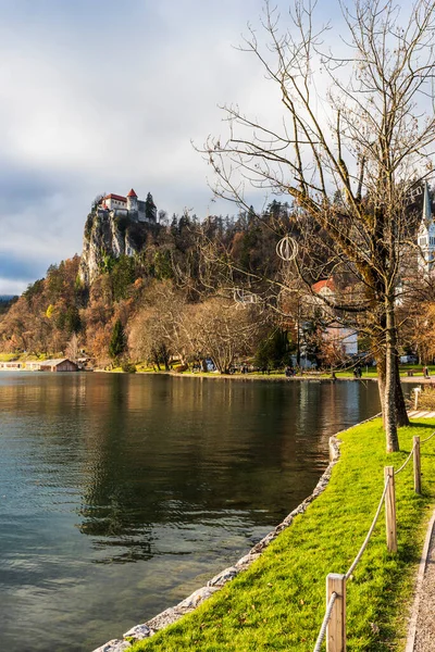 Beautiful View Lake Bled — Stock Photo, Image