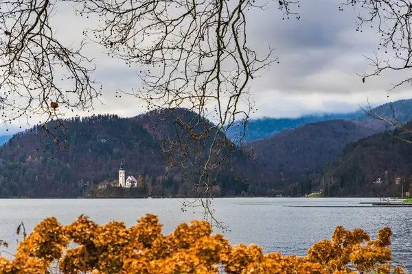 Vacker Utsikt Över Sjön Bled Slovenien Bled Slovenien — Stockfoto
