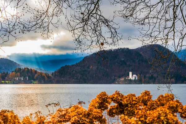 Прекрасный Вид Озеро Блед Словения Бледе Словения — стоковое фото