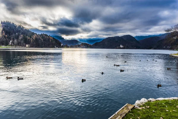 Beautiful View Lake Bled Slovenia Bled Slovenia — Stock Photo, Image