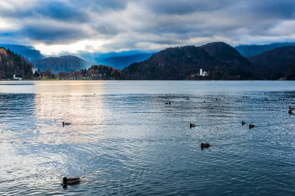 Slovenya Bled Slovenya Gölü Nün Güzel Manzarası — Stok fotoğraf