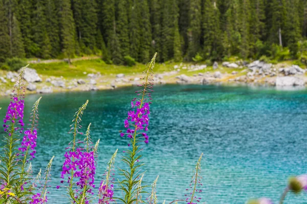 Explosie Van Kleuren Het Meer Van Carezza Dolomieten Italië — Stockfoto