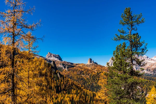 ドロマイトApls Cortina Ampezzo イタリアの秋の山の風景の絵 — ストック写真