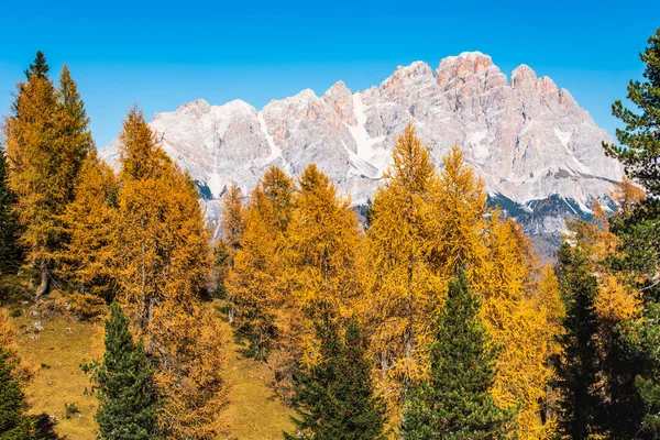 Schilderachtig Uitzicht Het Berglandschap Van Herfst Dolomieten Apls Cortina Ampezzo — Stockfoto