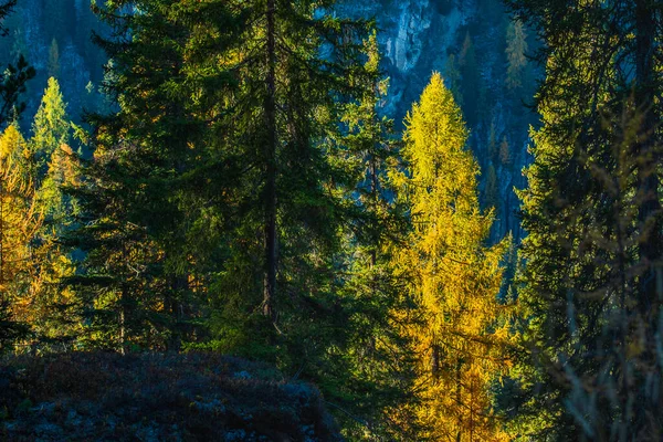 意大利科蒂纳 德安佩佐白云石大道秋天山景的风景画 — 图库照片