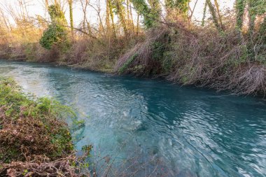 Ormandaki güzel nehir