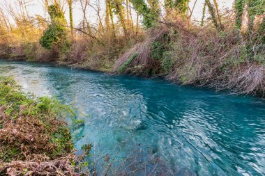 Ormandaki güzel nehir  