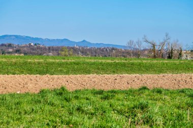 yeşil tarla ve mavi gökyüzü