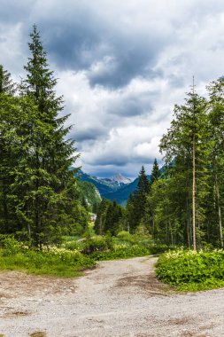Piani di Luzza 'da dağları olan güzel bir manzara.