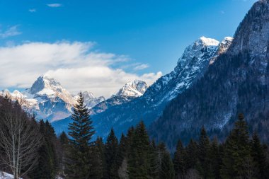 Karlı dağların güzel manzara