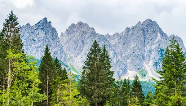 Vackert Landskap Med Berg Och Träd — Stockfoto