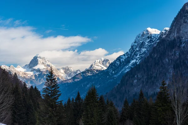 Příroda Cestování Nádherná Krajina Predil Itálie — Stock fotografie