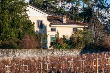 Villafredda province in autumn time, Italy 