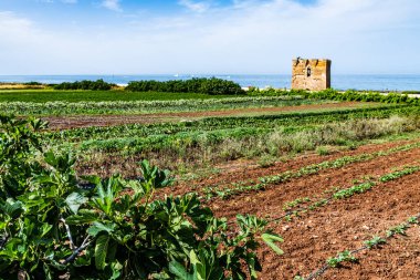 San vito lo capo, Sicilya, İtalya