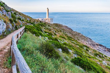 Deniz fenerine giden yol Punta Palasca