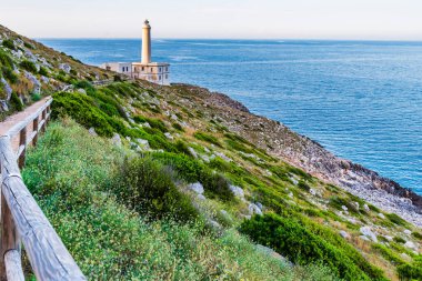 Deniz fenerine giden yol Punta Palasca