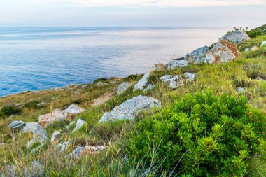Punta Palascia Deniz Feneri Capo d 'Otranto' da bulunan aktif bir deniz feneridir.
