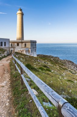 Deniz fenerine giden yol Punta Palasca