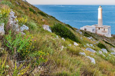 Punta Palascia Deniz Feneri Capo d 'Otranto' da bulunan aktif bir deniz feneridir.