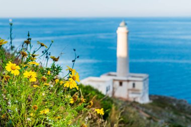 Punta Palascia Deniz Feneri Capo d 'Otranto' da bulunan aktif bir deniz feneridir.
