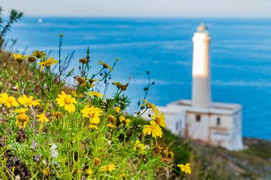 Punta Palascia Deniz Feneri Capo d 'Otranto' da bulunan aktif bir deniz feneridir.