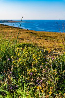 Punta Palascia Deniz Feneri Capo d 'Otranto' da bulunan aktif bir deniz feneridir.