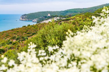Puglia, Gargano Doğal Parkı