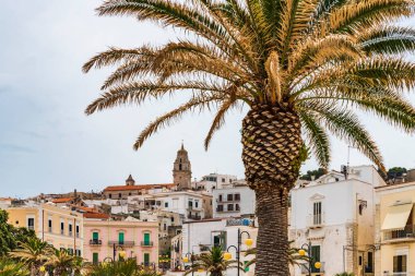 Puglia, Gargano Doğal Parkı
