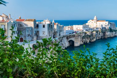 Puglia, doğal park garganosu.