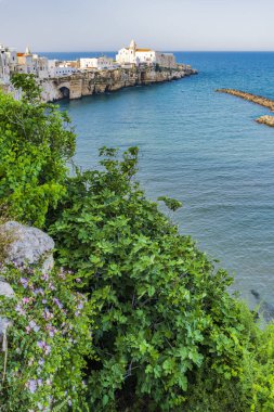 Puglia, doğal park garganosu.