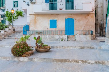 Puglia, doğal park garganosu.