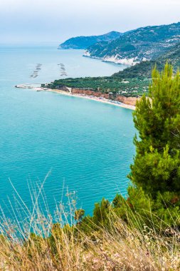 Puglia, doğal park garganosu.