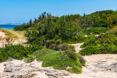 Sahne gezisi konsepti