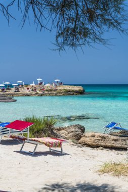 Sahne gezisi konsepti