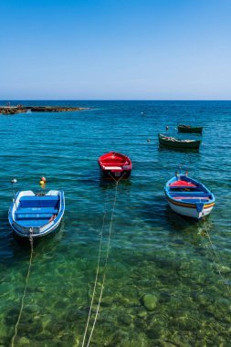 Polignano a Mare, İtalya: 18 Haziran 2019: İtalya 'nın güney Adriyatik kıyısındaki Polignano a Mare kasabasının muhteşem manzarası.