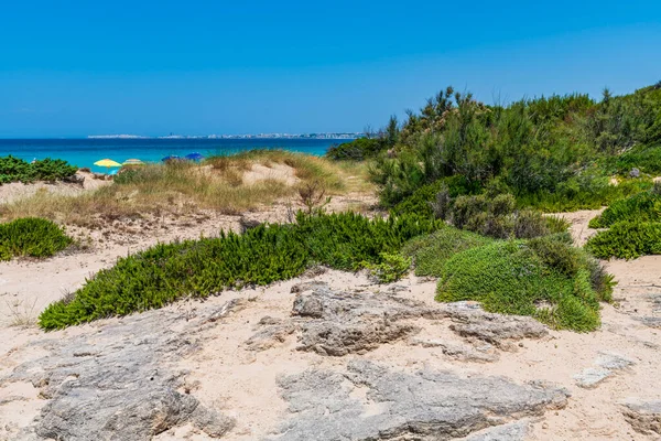 Concept Voyage Scène Plage — Photo