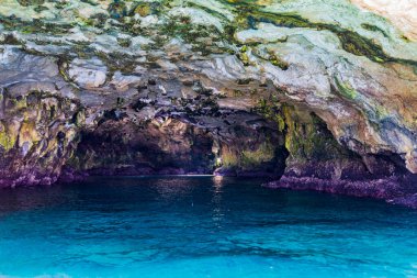 Polignano a Mare, İtalya: 18 Haziran 2019: İtalya 'nın güney Adriyatik kıyısındaki Polignano a Mare kasabasının muhteşem manzarası