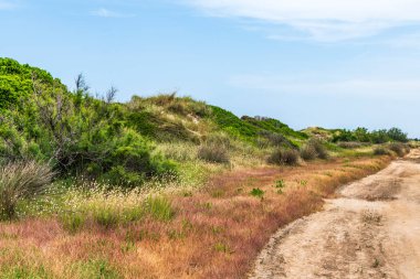 Torre Canne, İtalya: 18 Haziran 2019: Güneydoğu İtalya kıyı köyü Torre Canne 'in güzel manzarası.