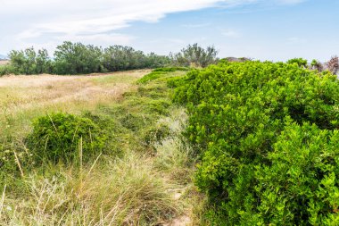 Torre Canne, İtalya: 18 Haziran 2019: Güneydoğu İtalya kıyı köyü Torre Canne 'in güzel manzarası.