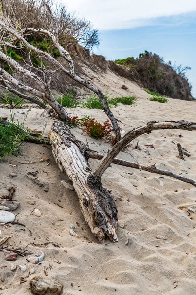 Torre Canne Włochy Czerwca 2019 Piękny Widok Południowo Wschodnią Włoską — Zdjęcie stockowe