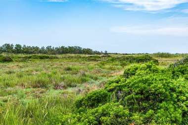 Torre Canne, İtalya: 18 Haziran 2019: Güneydoğu İtalya kıyı köyü Torre Canne 'in güzel manzarası.