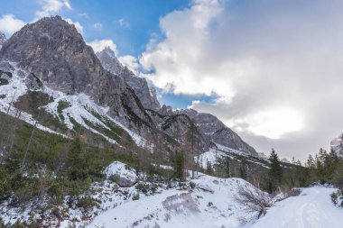 Güzel karlı dağlar ve ebedi yeşil ağaçlar manzarası