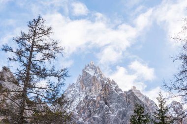 Güzel karlı dağlar ve ebedi yeşil ağaçlar manzarası