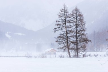 Donmuş bir köy manzarası, kış manzarası