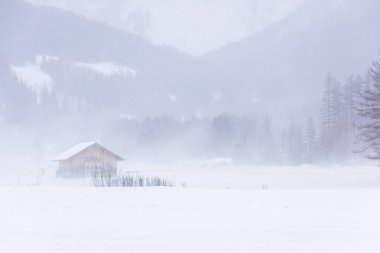 Donmuş bir köy manzarası, kış manzarası