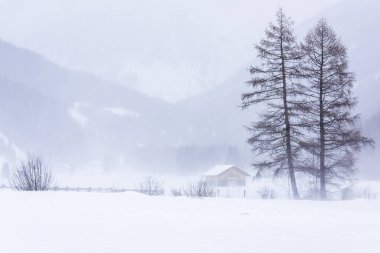 Donmuş bir köy manzarası, kış manzarası