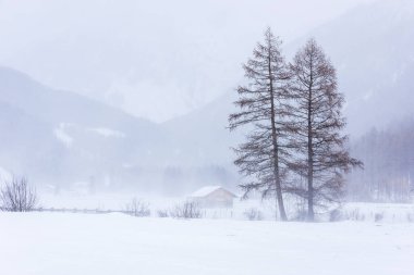 Donmuş bir köy manzarası, kış manzarası