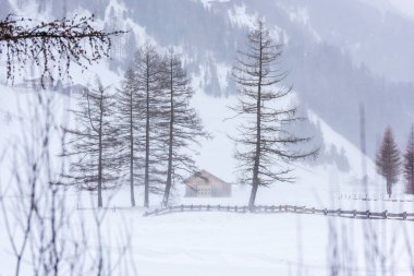 Donmuş bir köy manzarası, kış manzarası