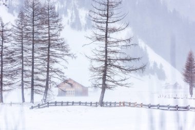 Donmuş bir köy manzarası, kış manzarası