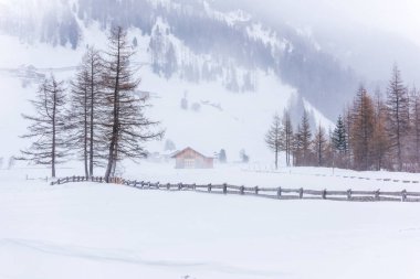 Donmuş bir köy manzarası, kış manzarası